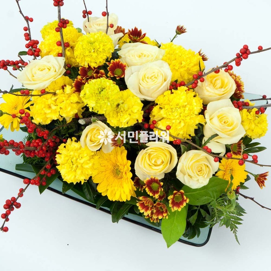 상세이미지