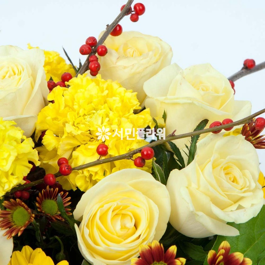 상세이미지