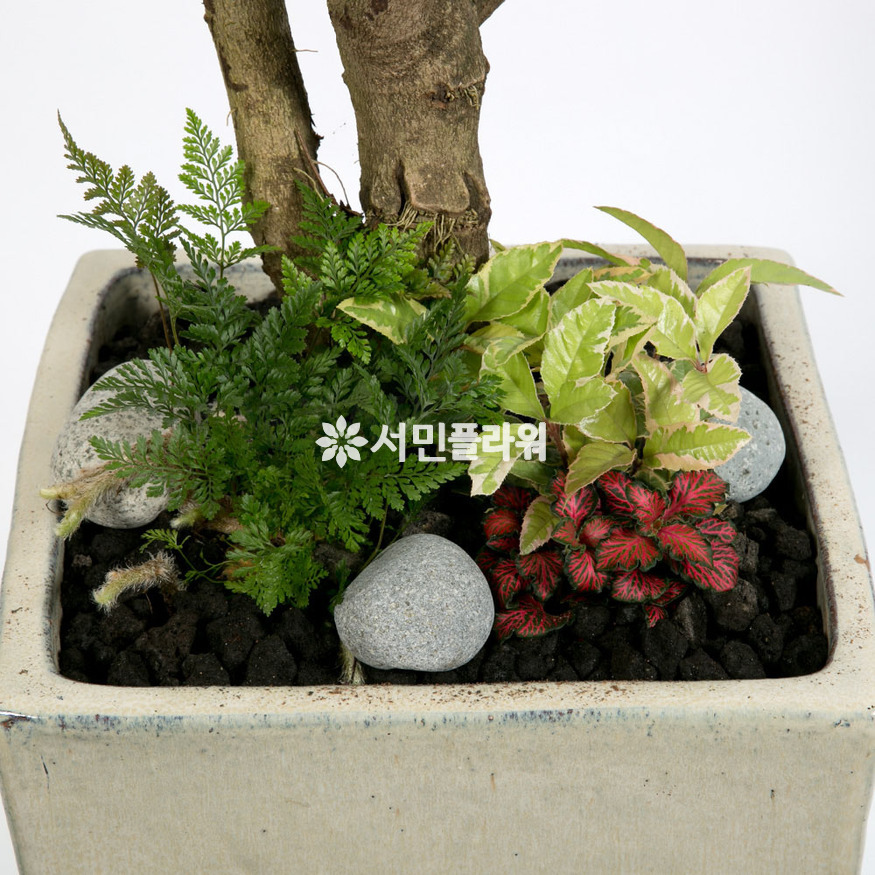 상세이미지
