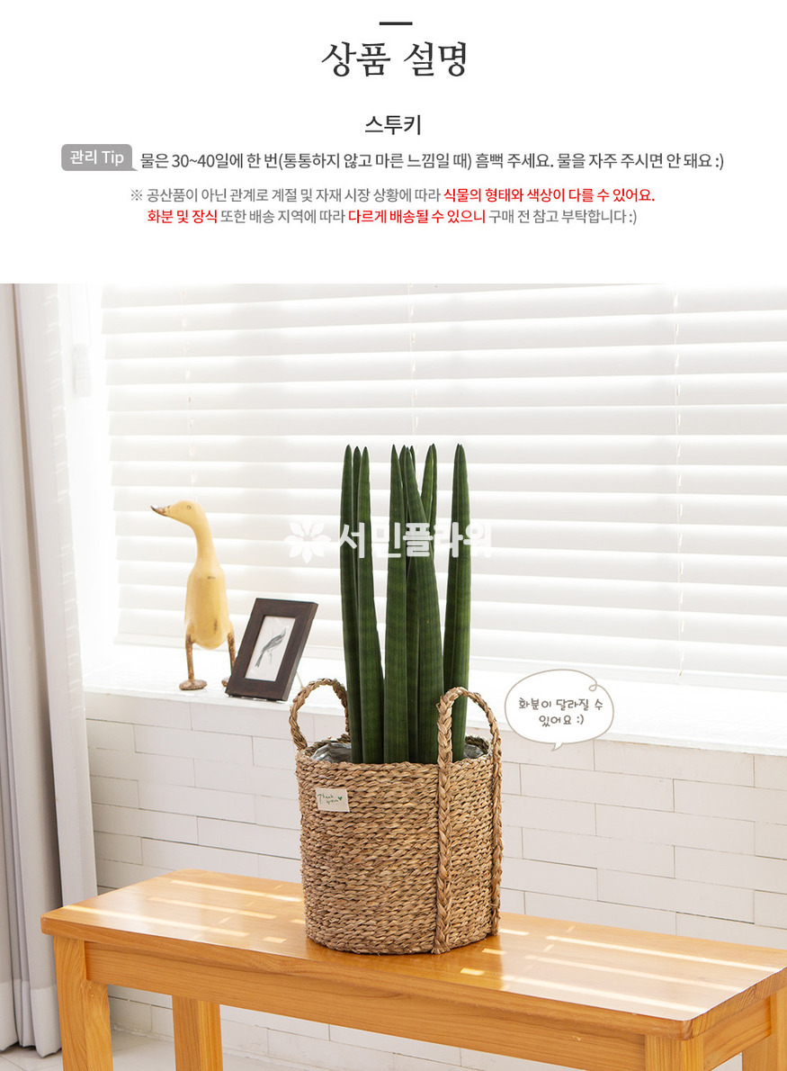 상세이미지