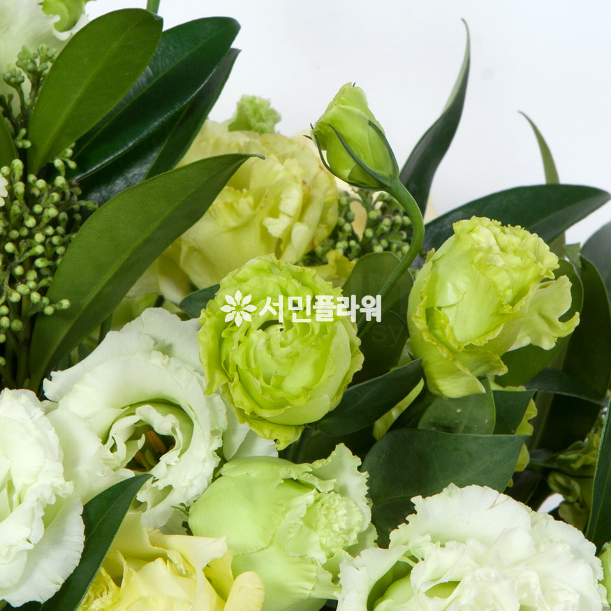 상세이미지