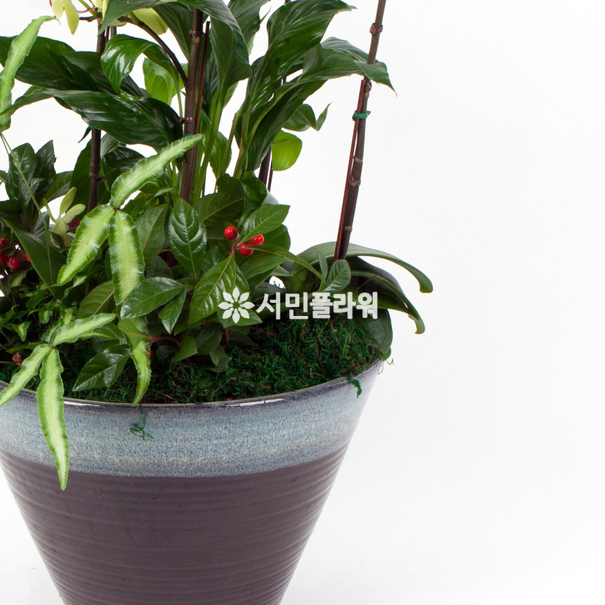 상세이미지