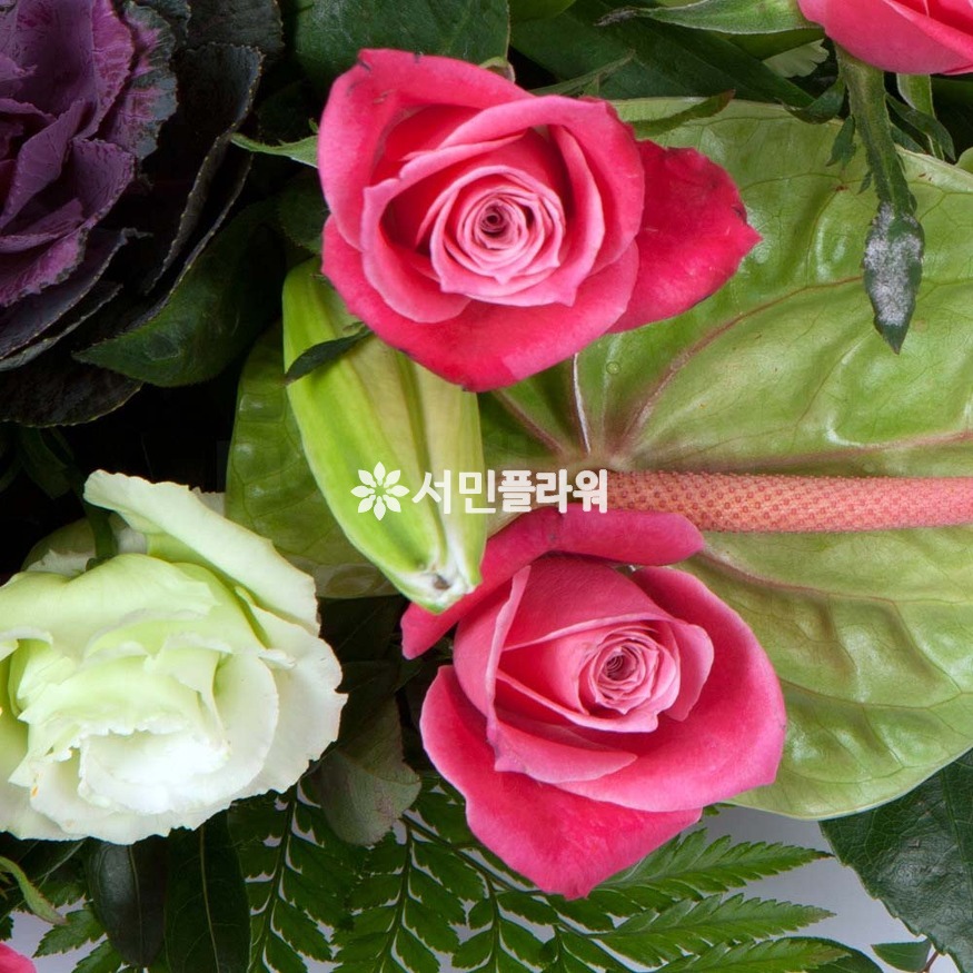 상세이미지