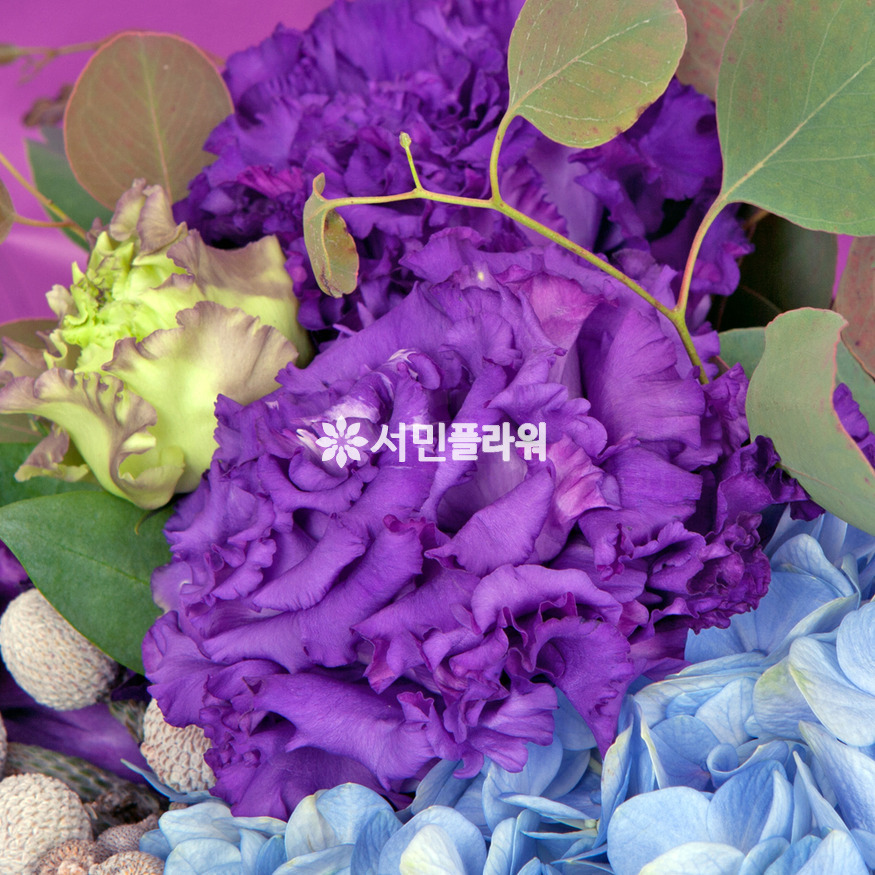 상세이미지