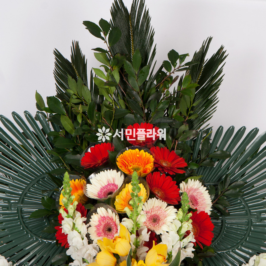 상세이미지