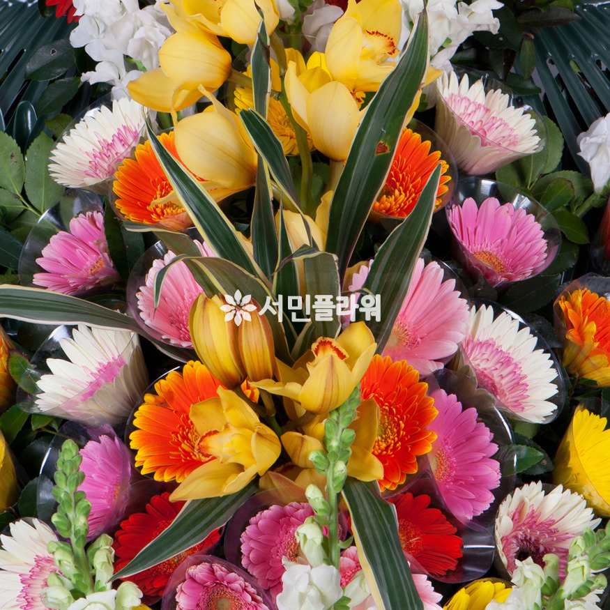 상세이미지