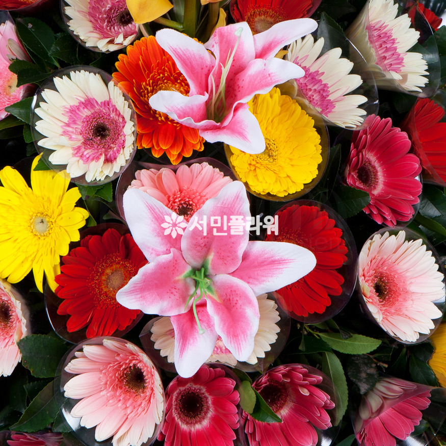 상세이미지