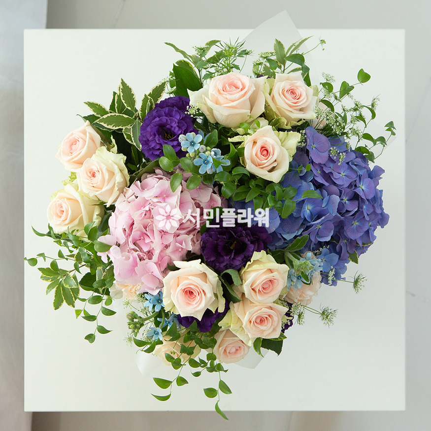 상세이미지