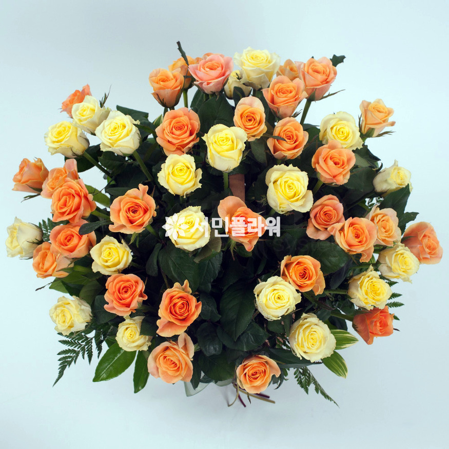 상세이미지