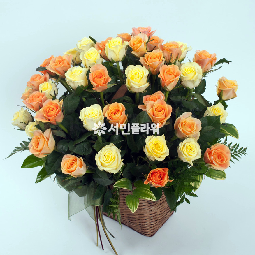 상세이미지