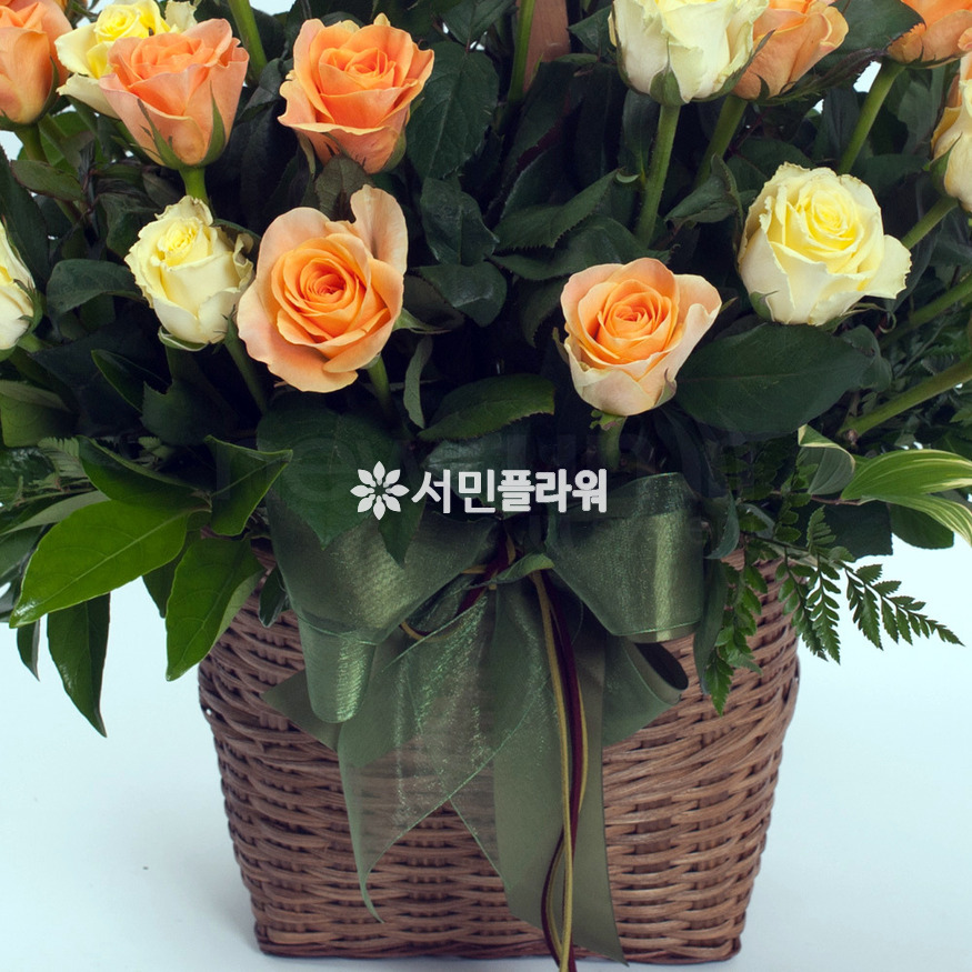 상세이미지