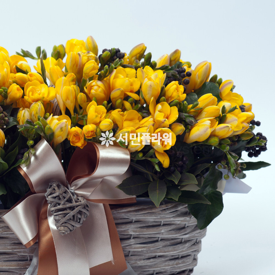 상세이미지