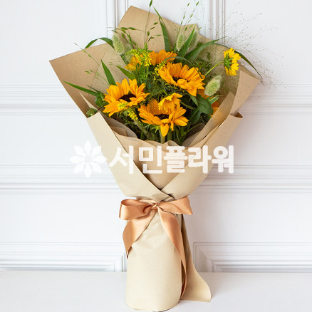 해바라기세상