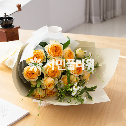 너랑 나랑 노랑