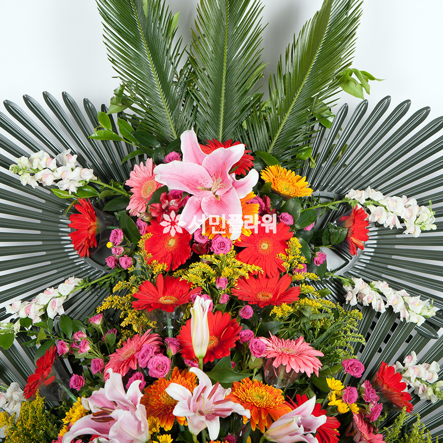 상세이미지