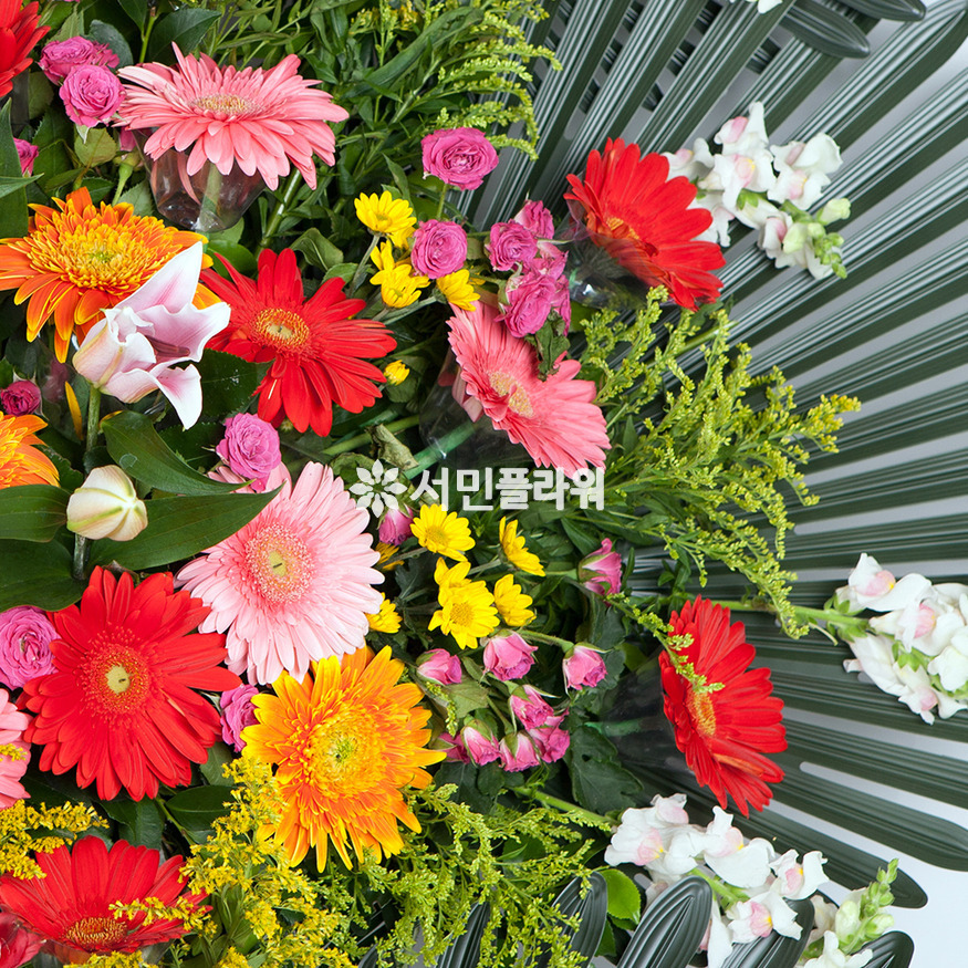 상세이미지