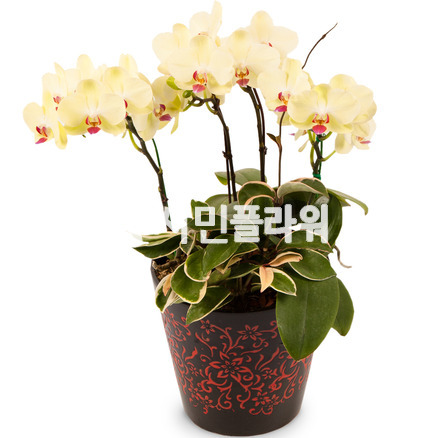 포춘2