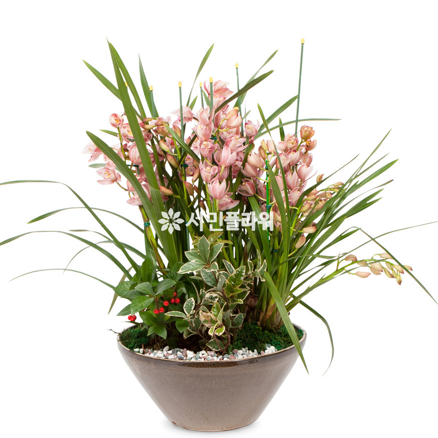 상세이미지