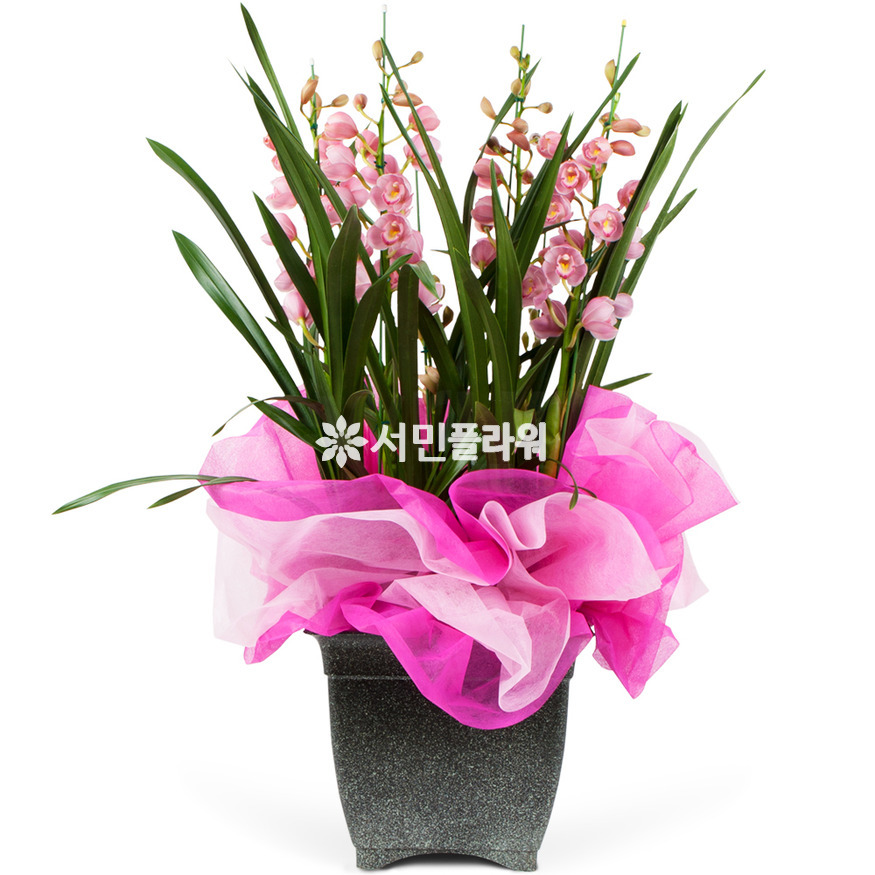 상세이미지