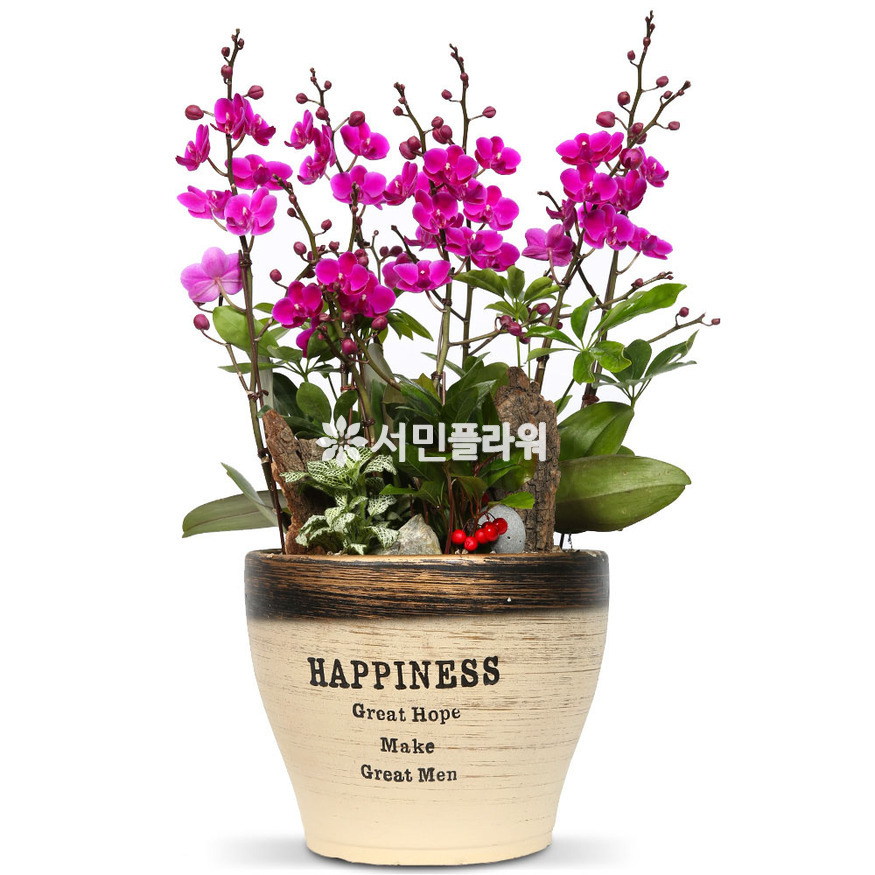 상세이미지