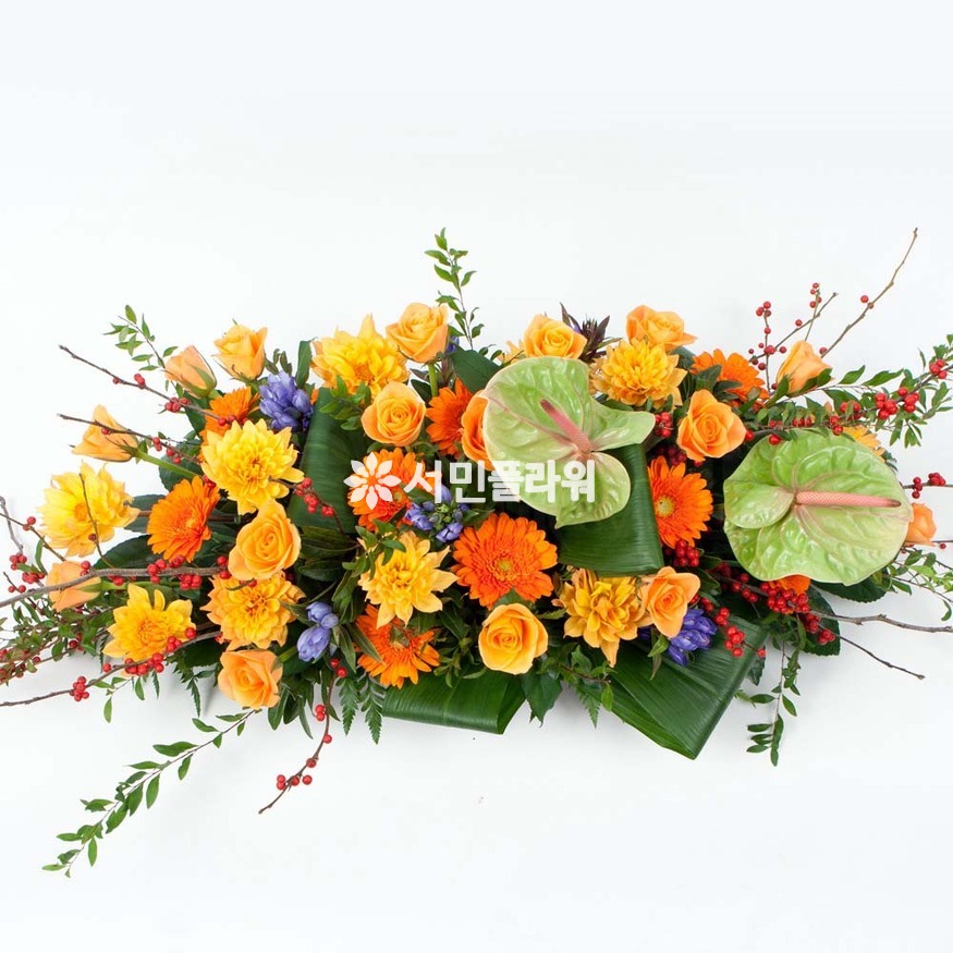 상세이미지