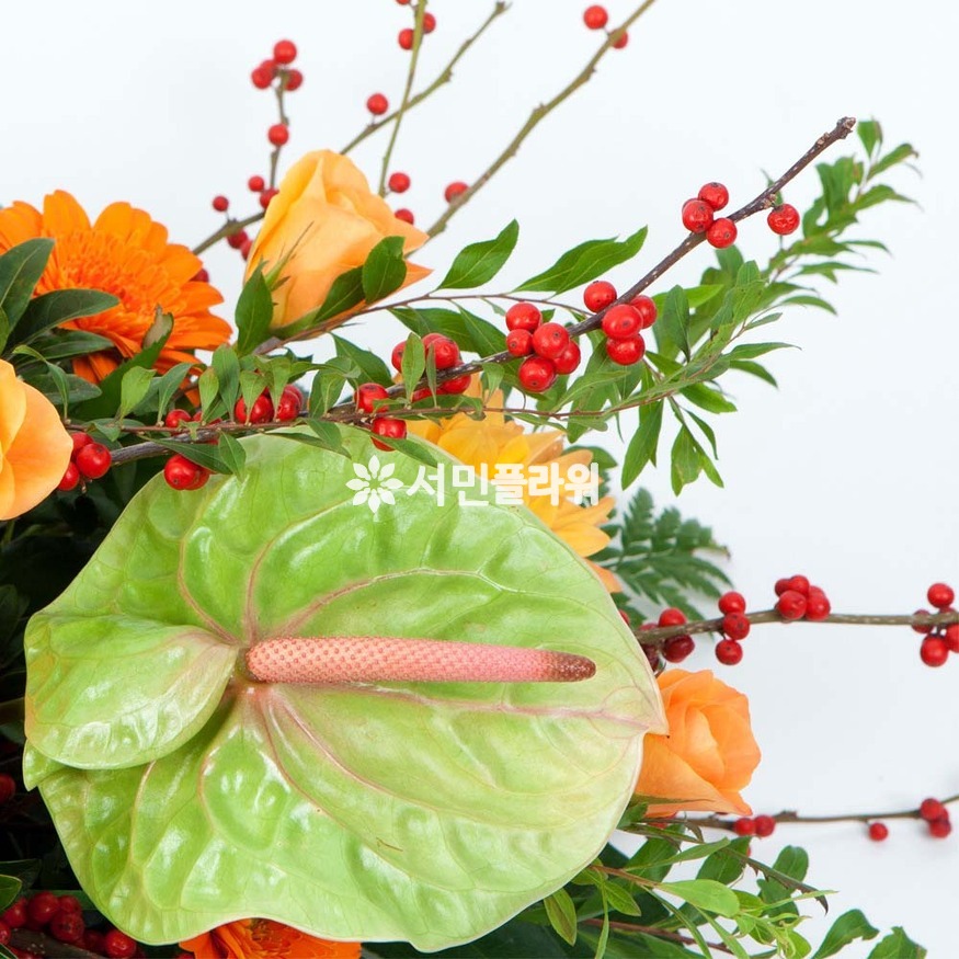 상세이미지