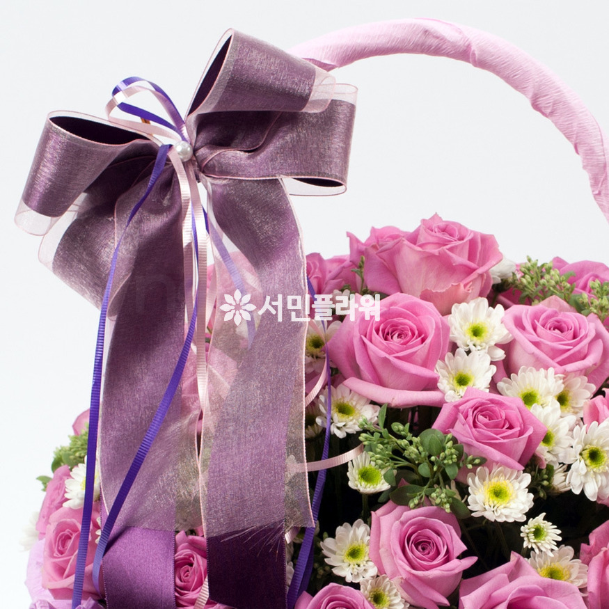 상세이미지