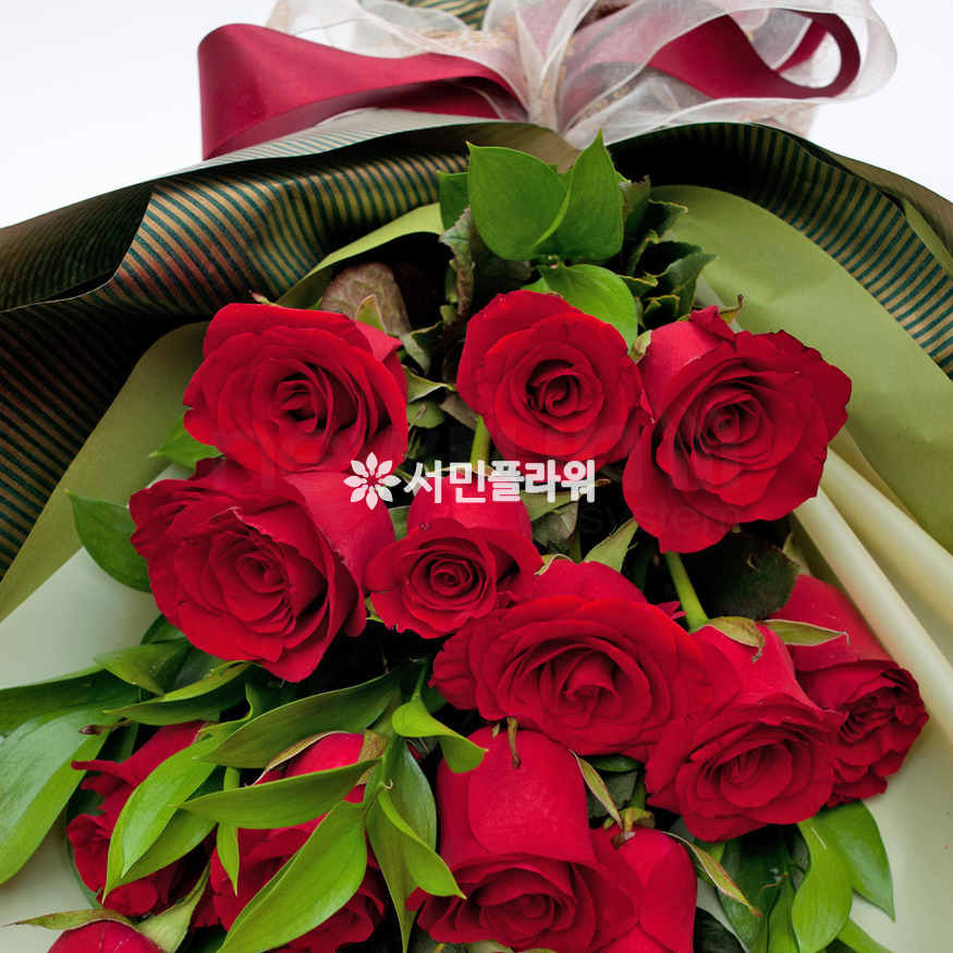 상세이미지