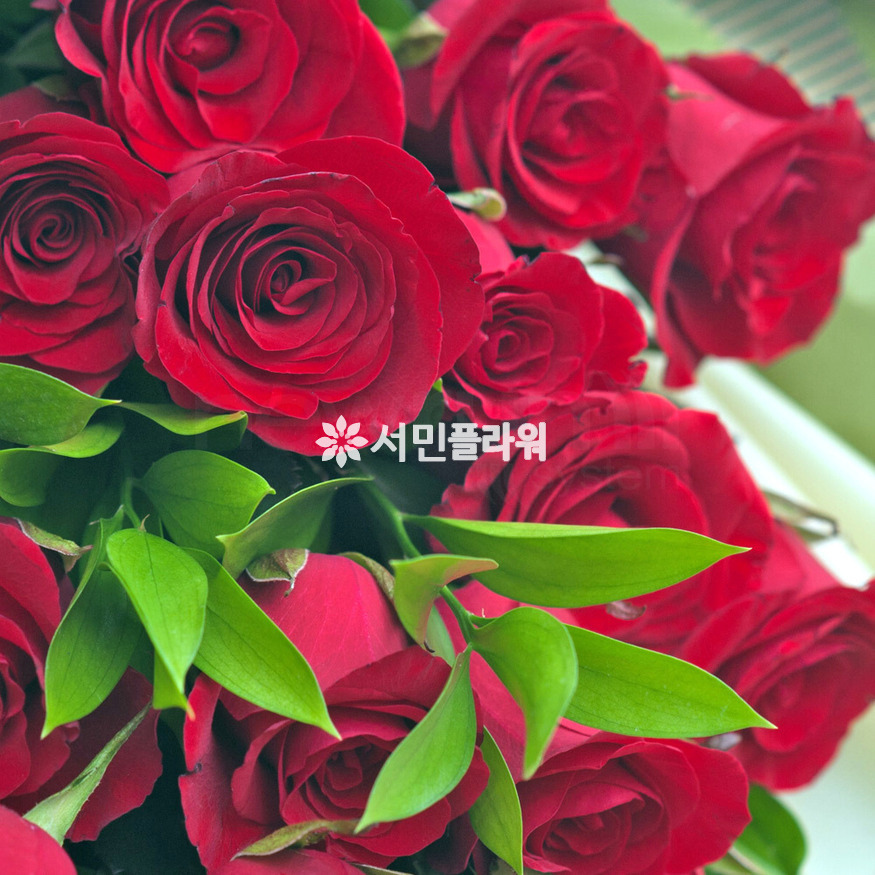상세이미지