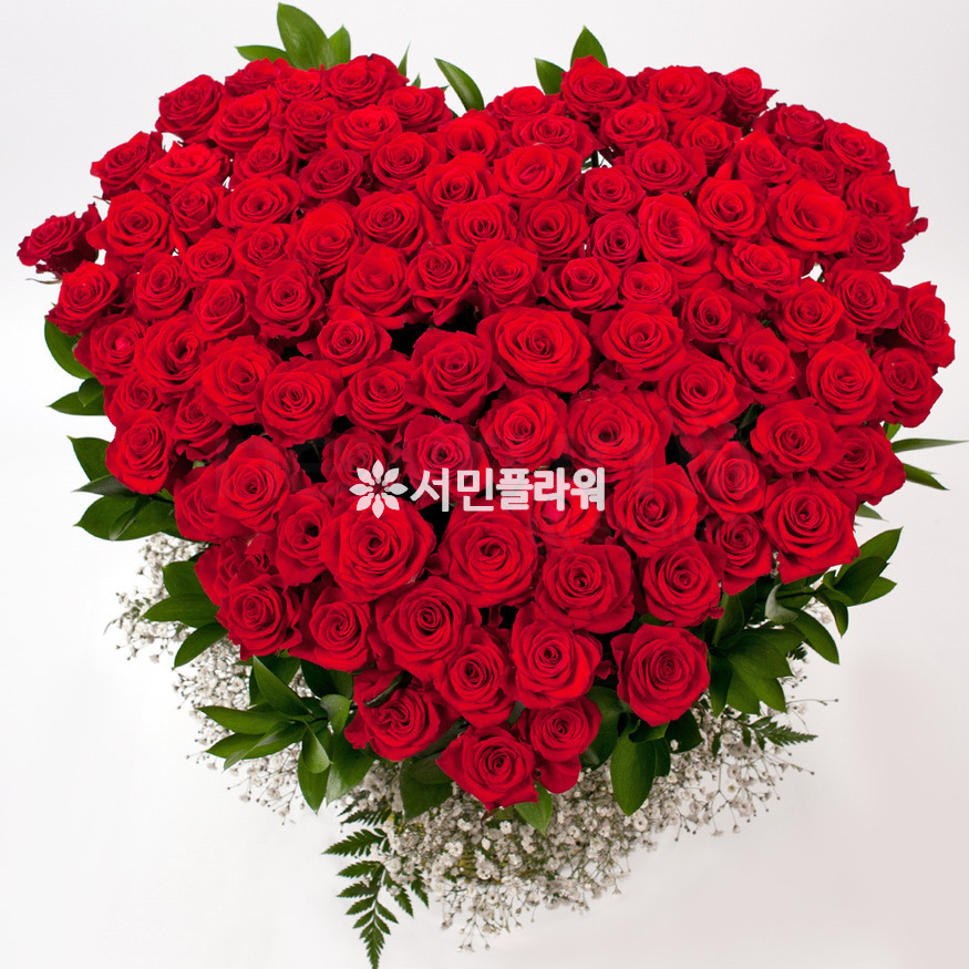 상세이미지