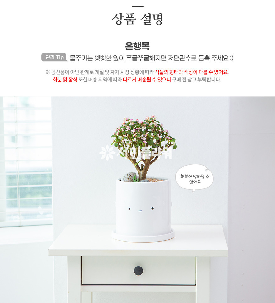 상세이미지