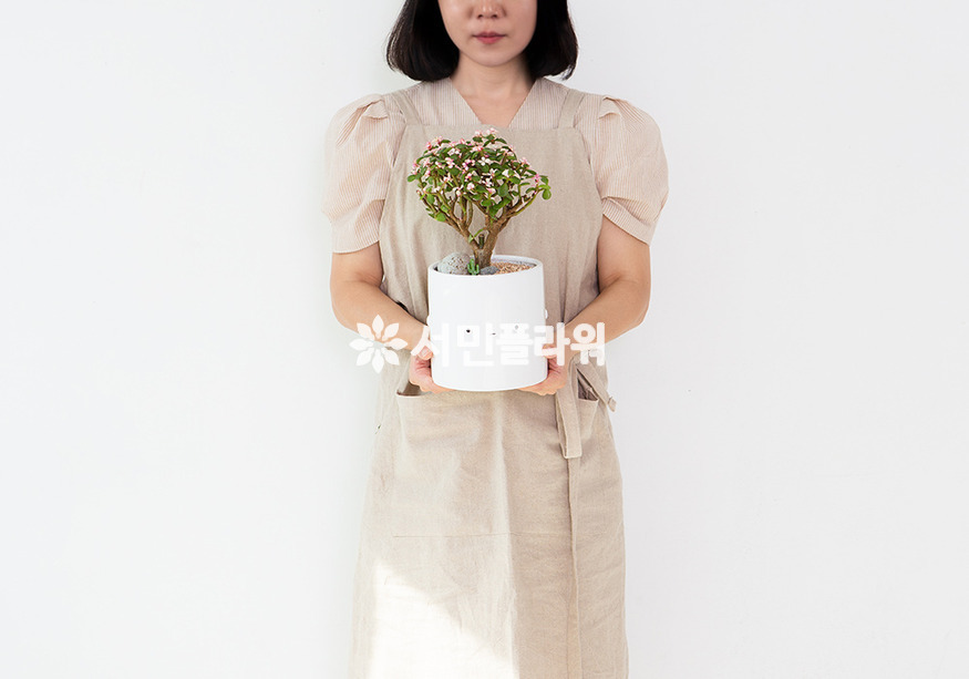 상세이미지