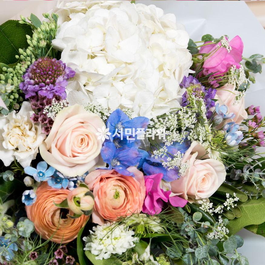 상세이미지