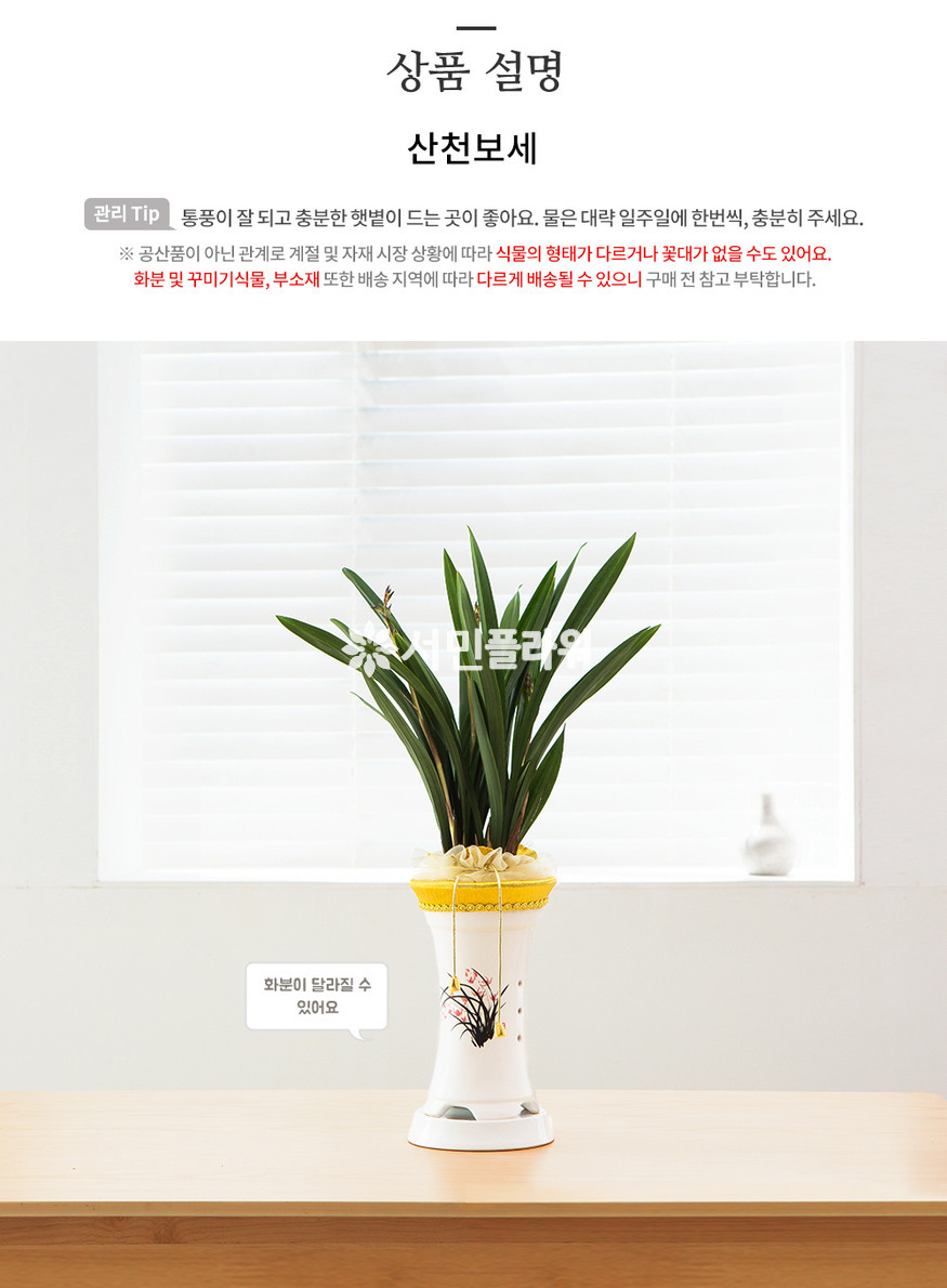 상세이미지