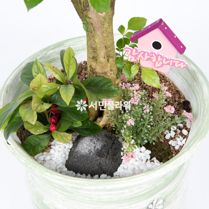 상세이미지