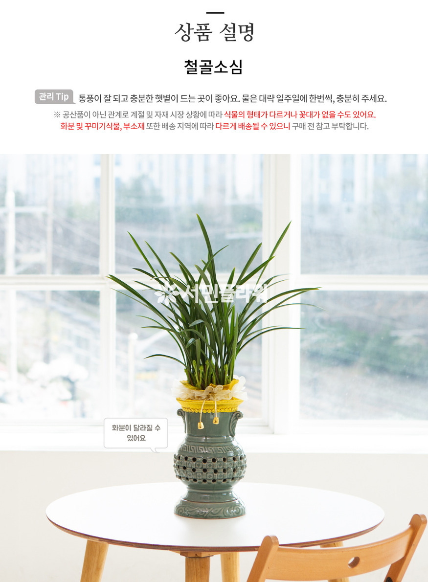 상세이미지