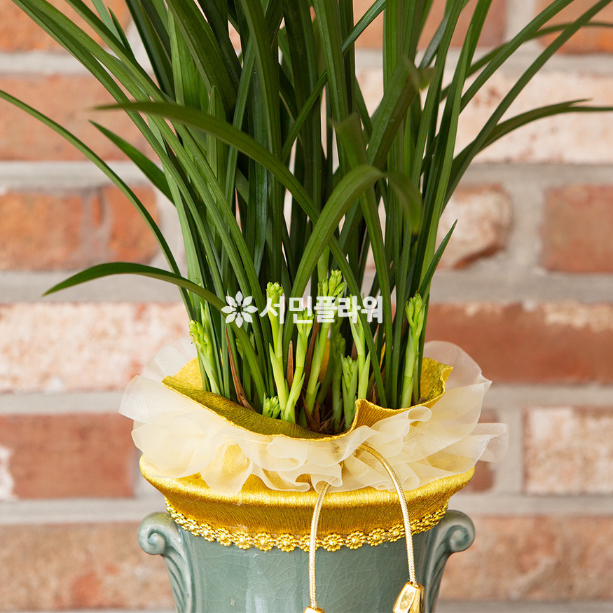 상세이미지
