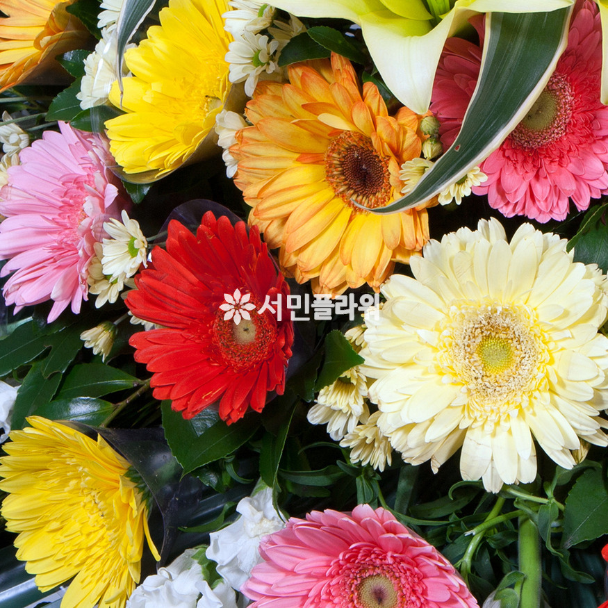 상세이미지