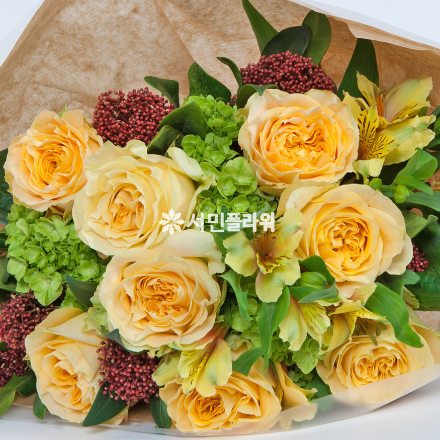상세이미지