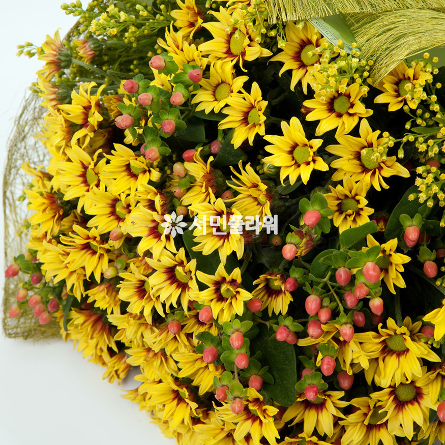 상세이미지