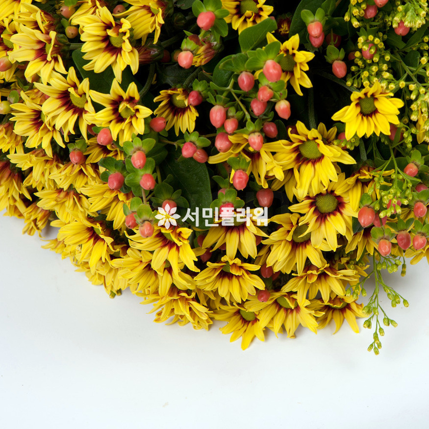 상세이미지