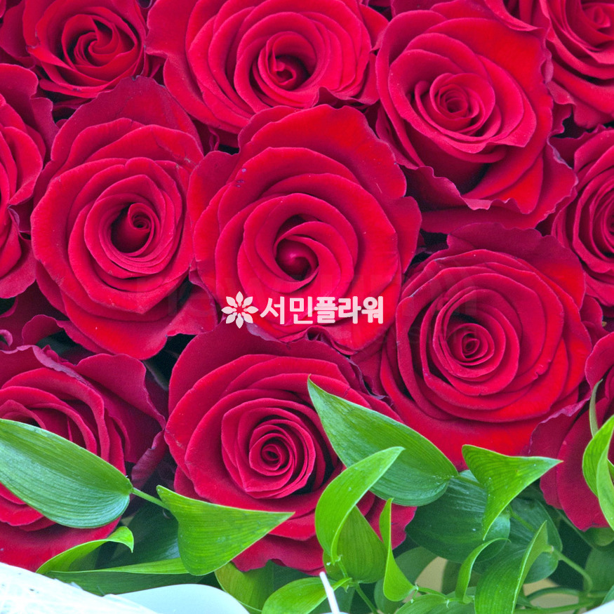 상세이미지