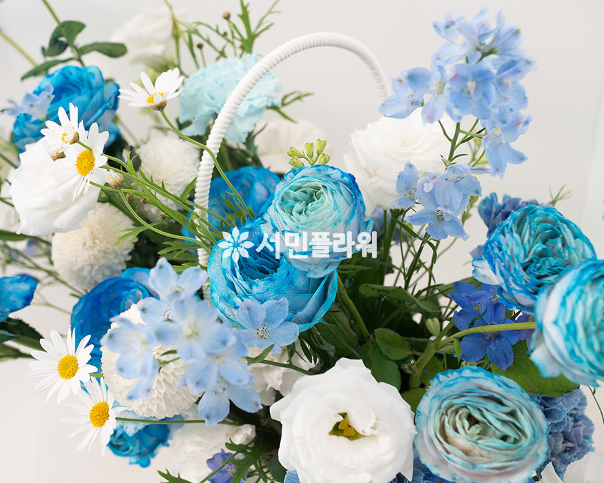 상세이미지