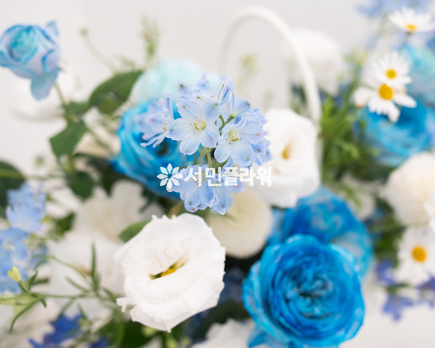 상세이미지