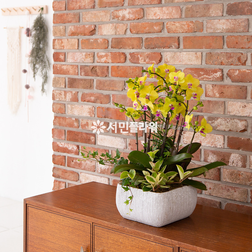 상세이미지