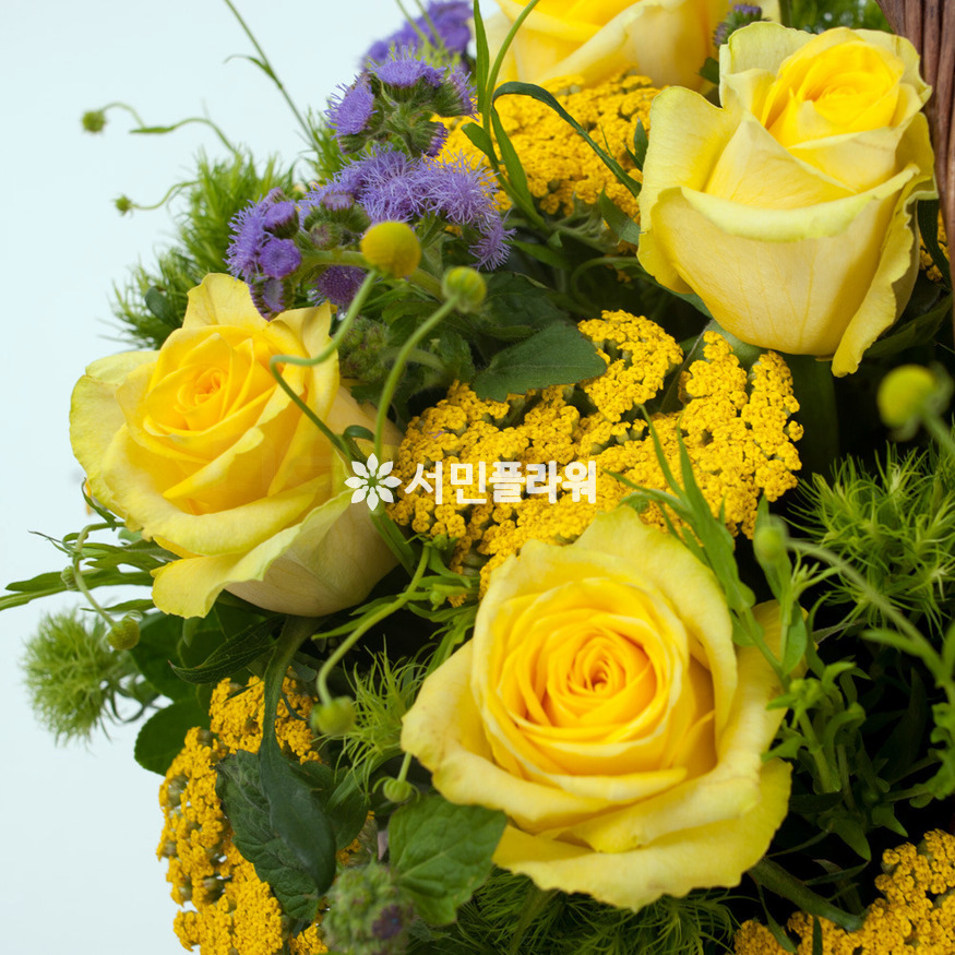상세이미지