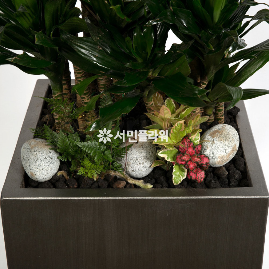 상세이미지