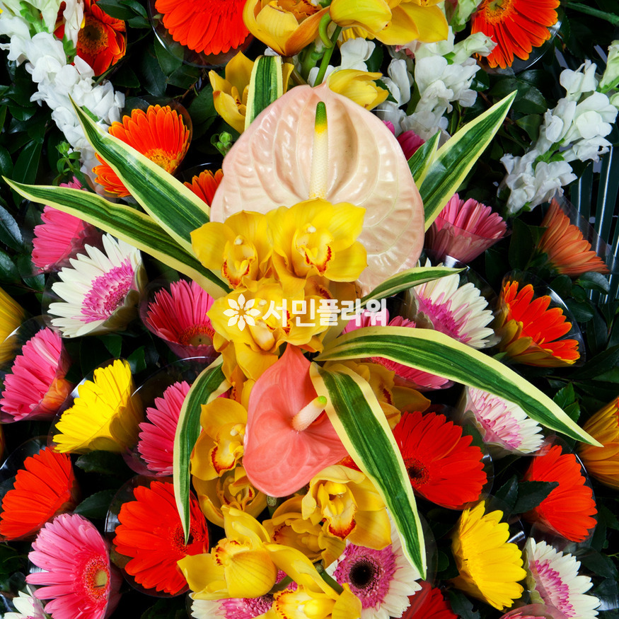 상세이미지