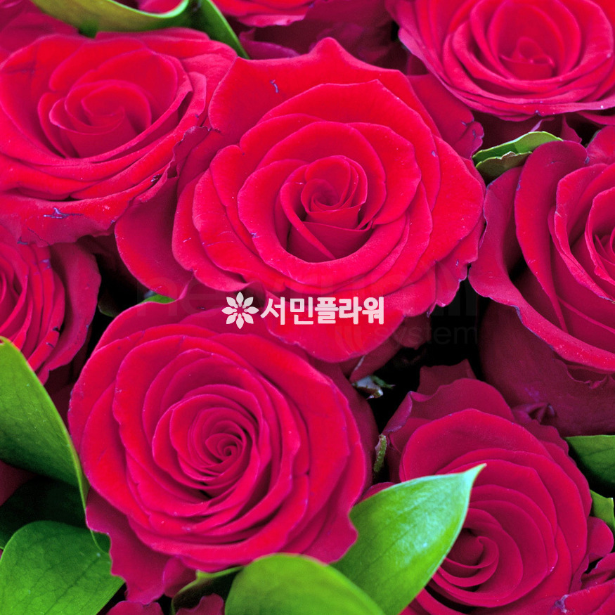 상세이미지