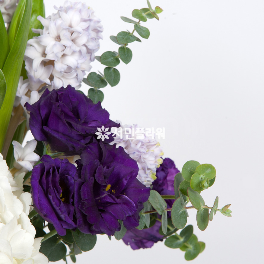 상세이미지